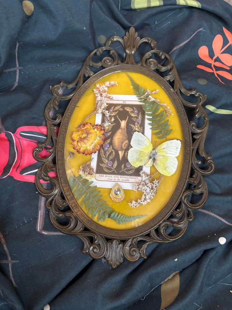 Vintage Bubble Frame Snail Tarot Butterfly 🦋 