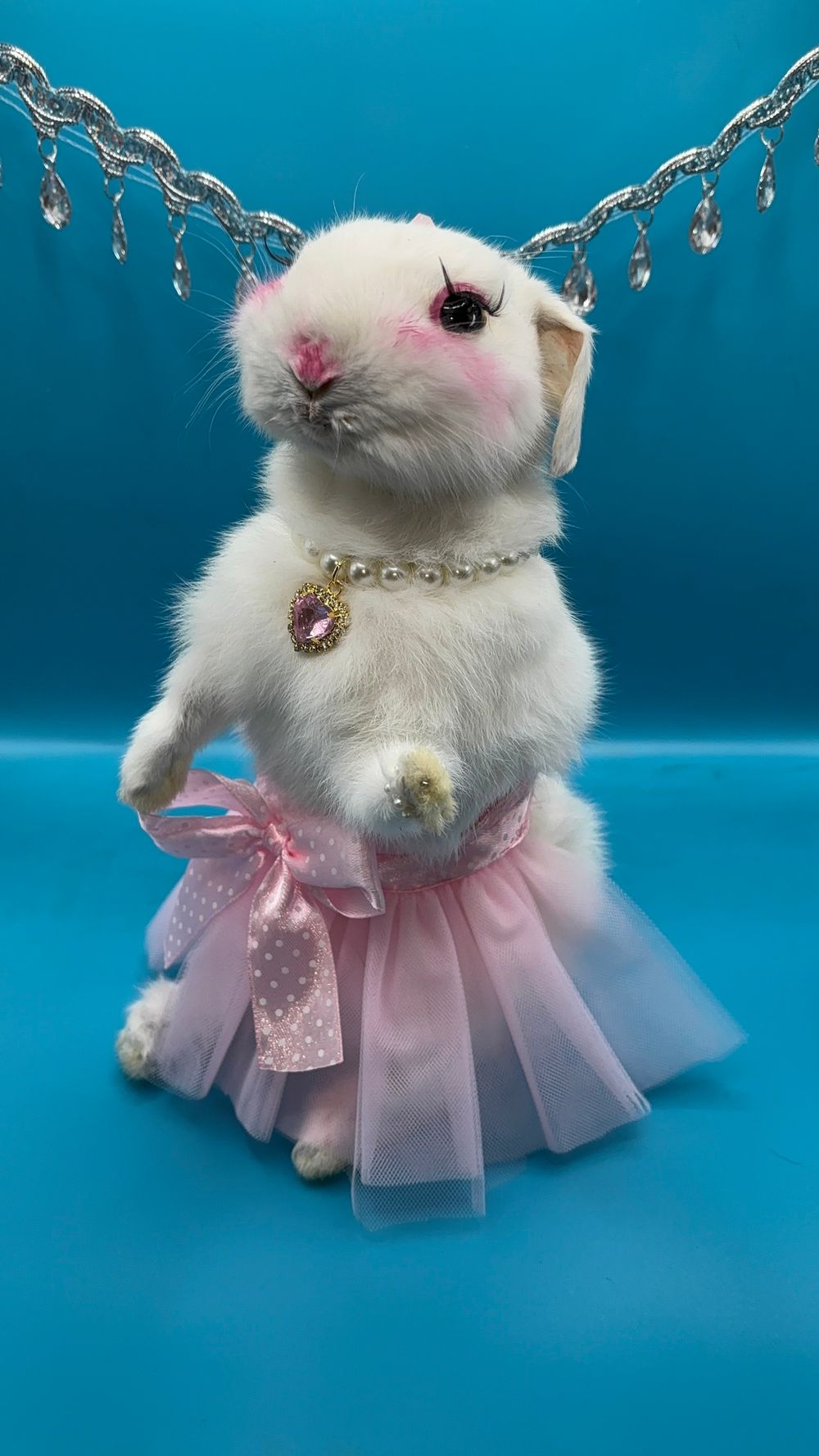Pink Pony Girl Full Rabbit Taxidermy 