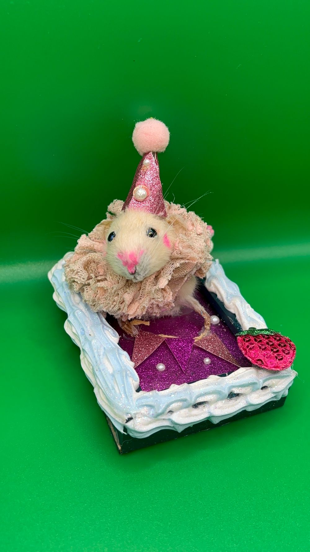 Clown Rat Taxidermy Half Mount Wall Hanger