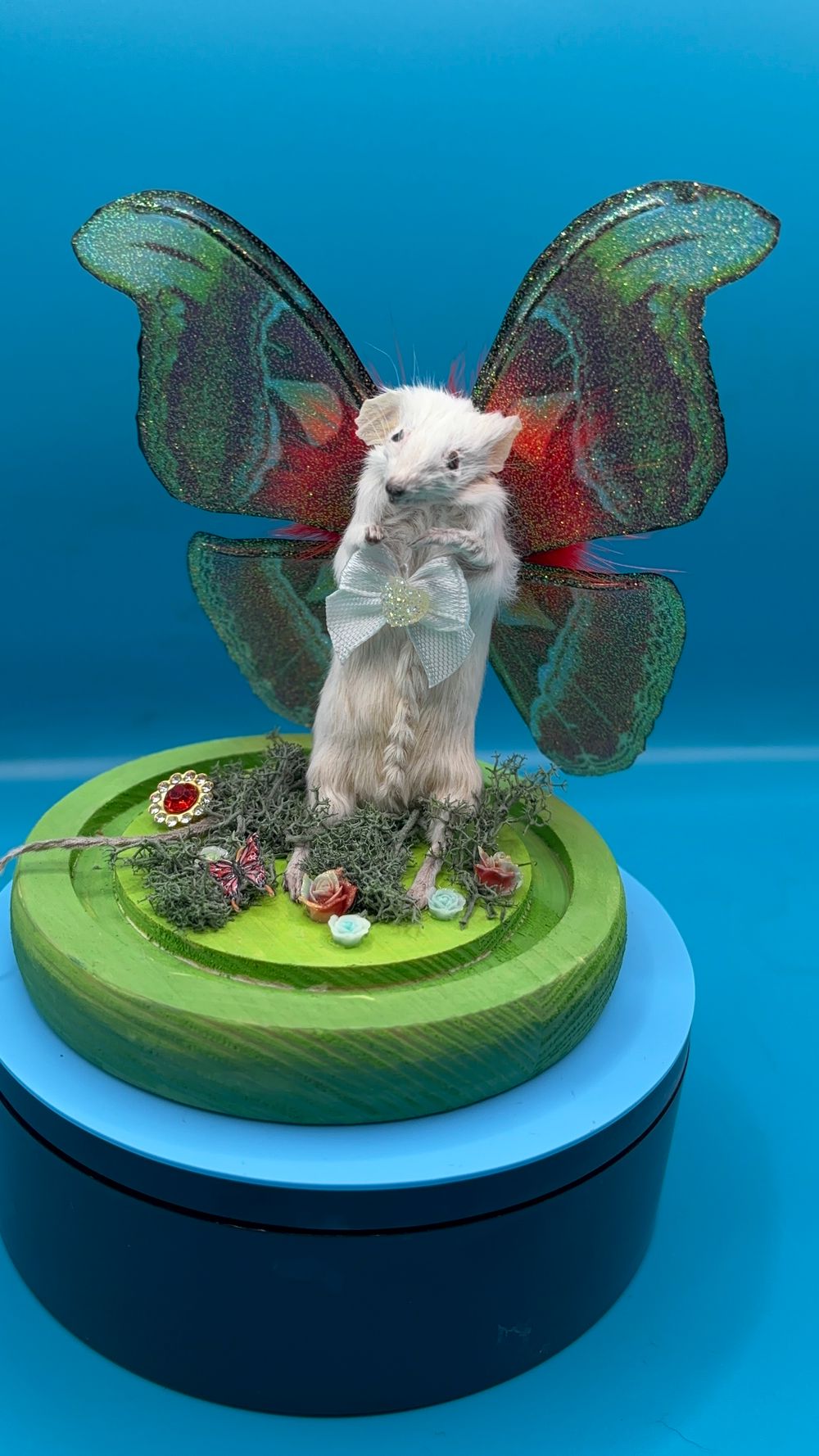 Taxidermy Moth Mouse 🐁 