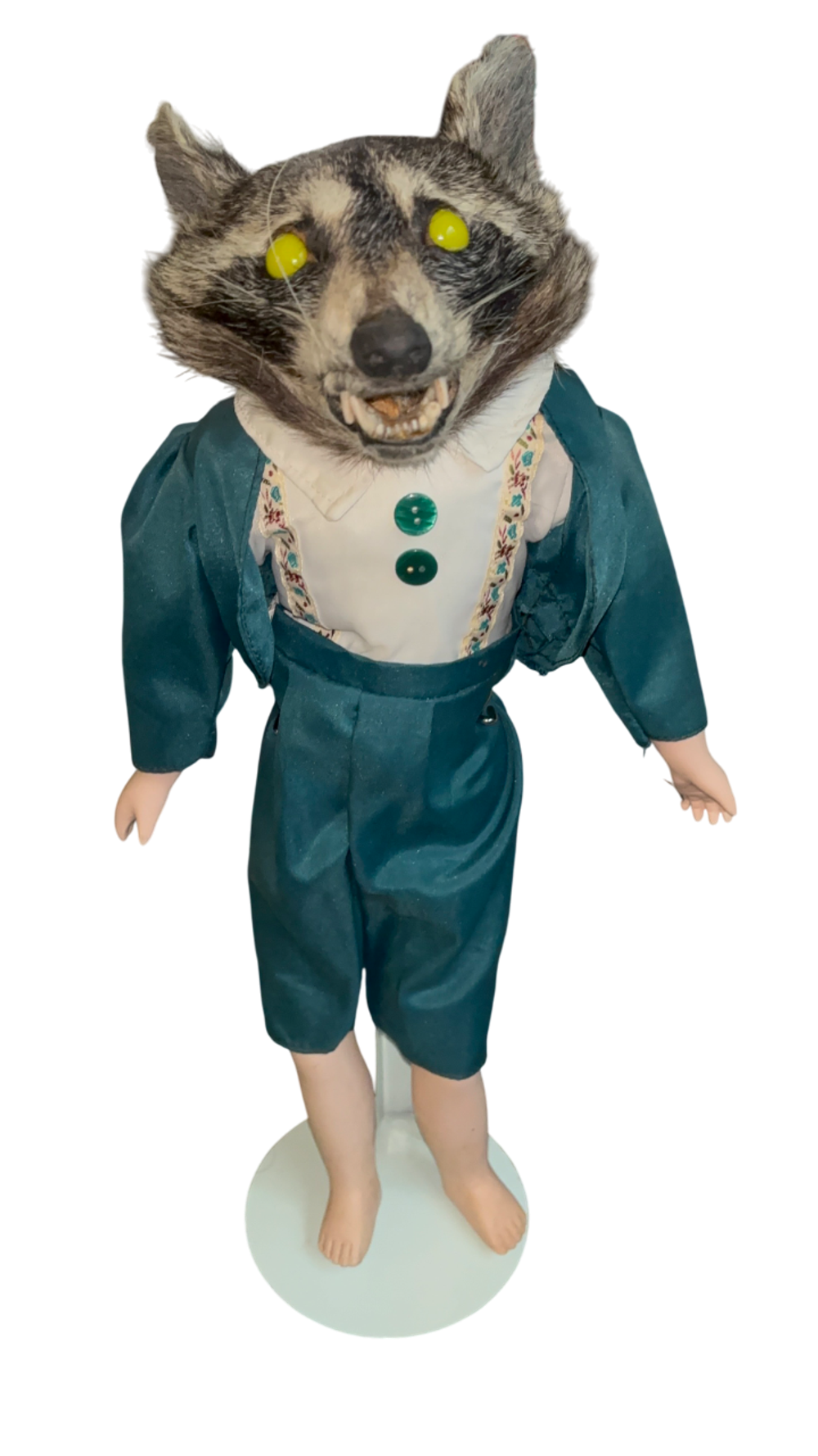 Raccoon 🦝 Dapper Dan