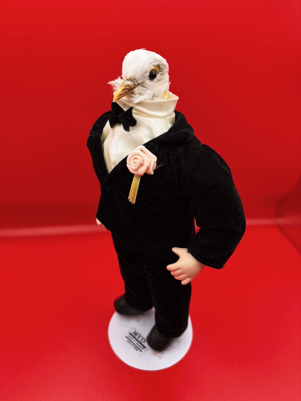 Dapper Dan Taxidermy Dove Head Doll