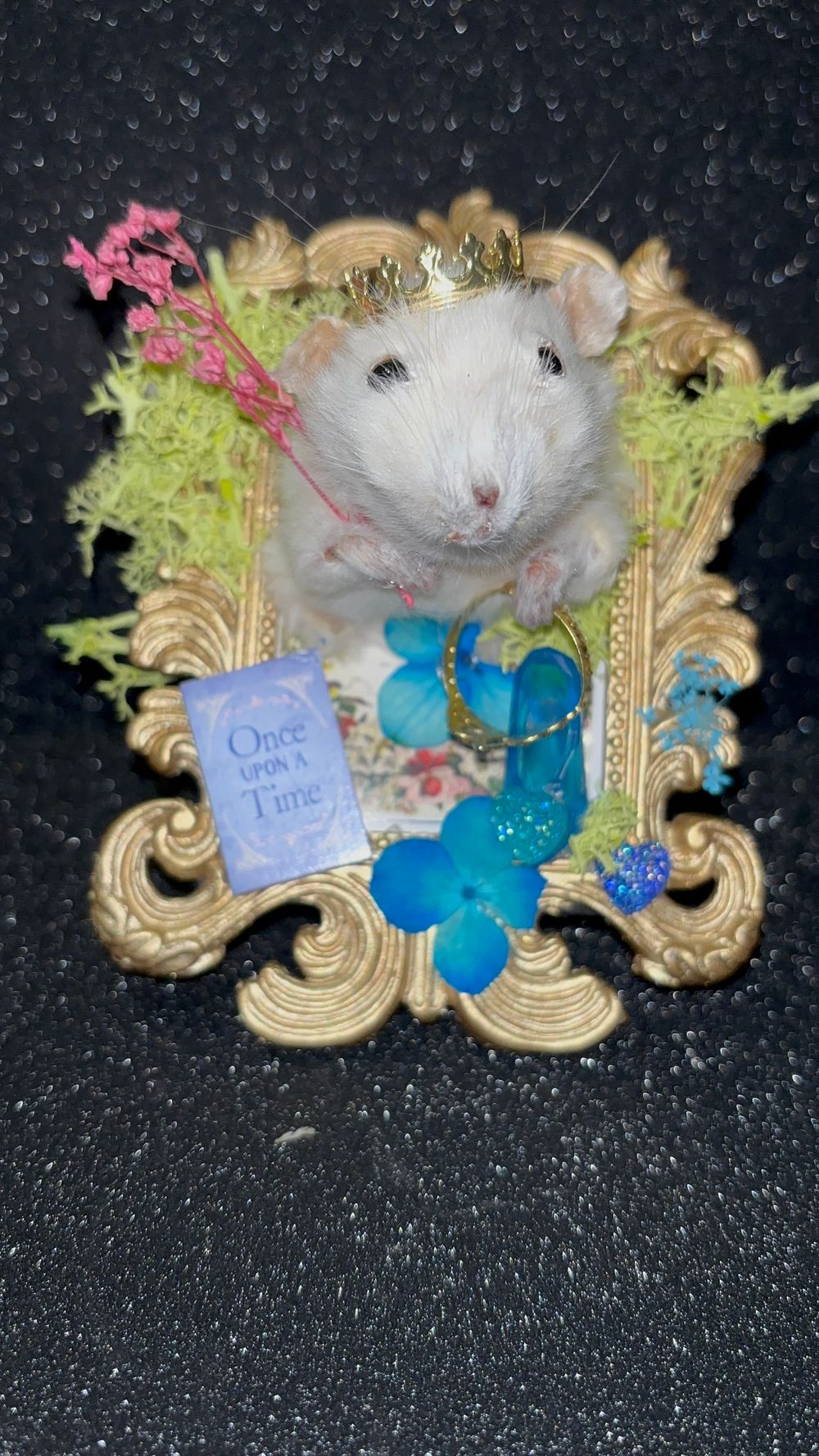 Prince Charming Rat Taxidermy 🐀 