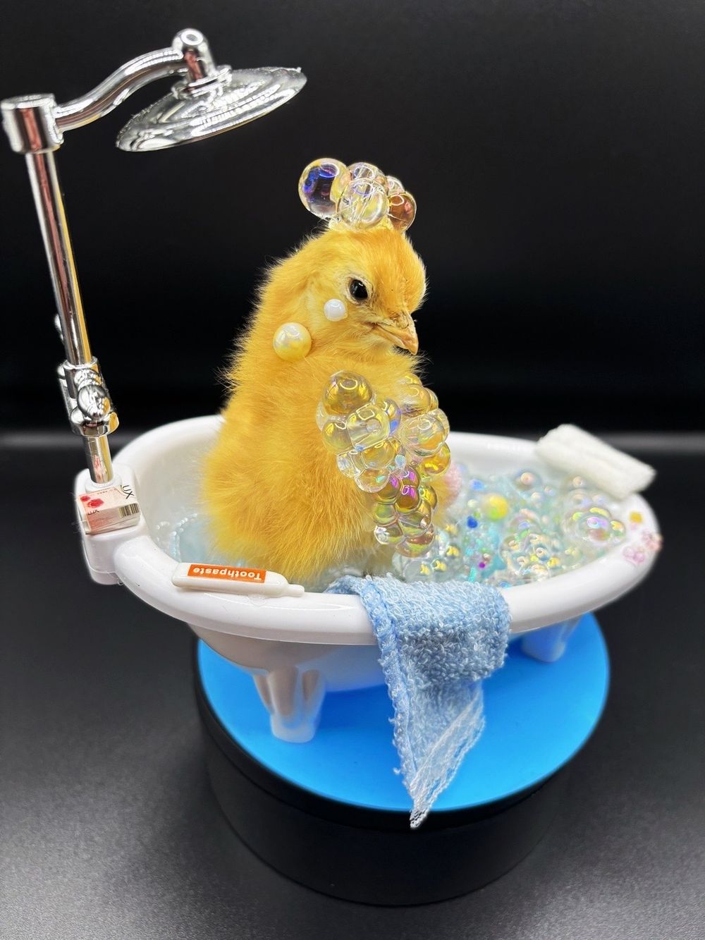 Bath time Chick🛁 