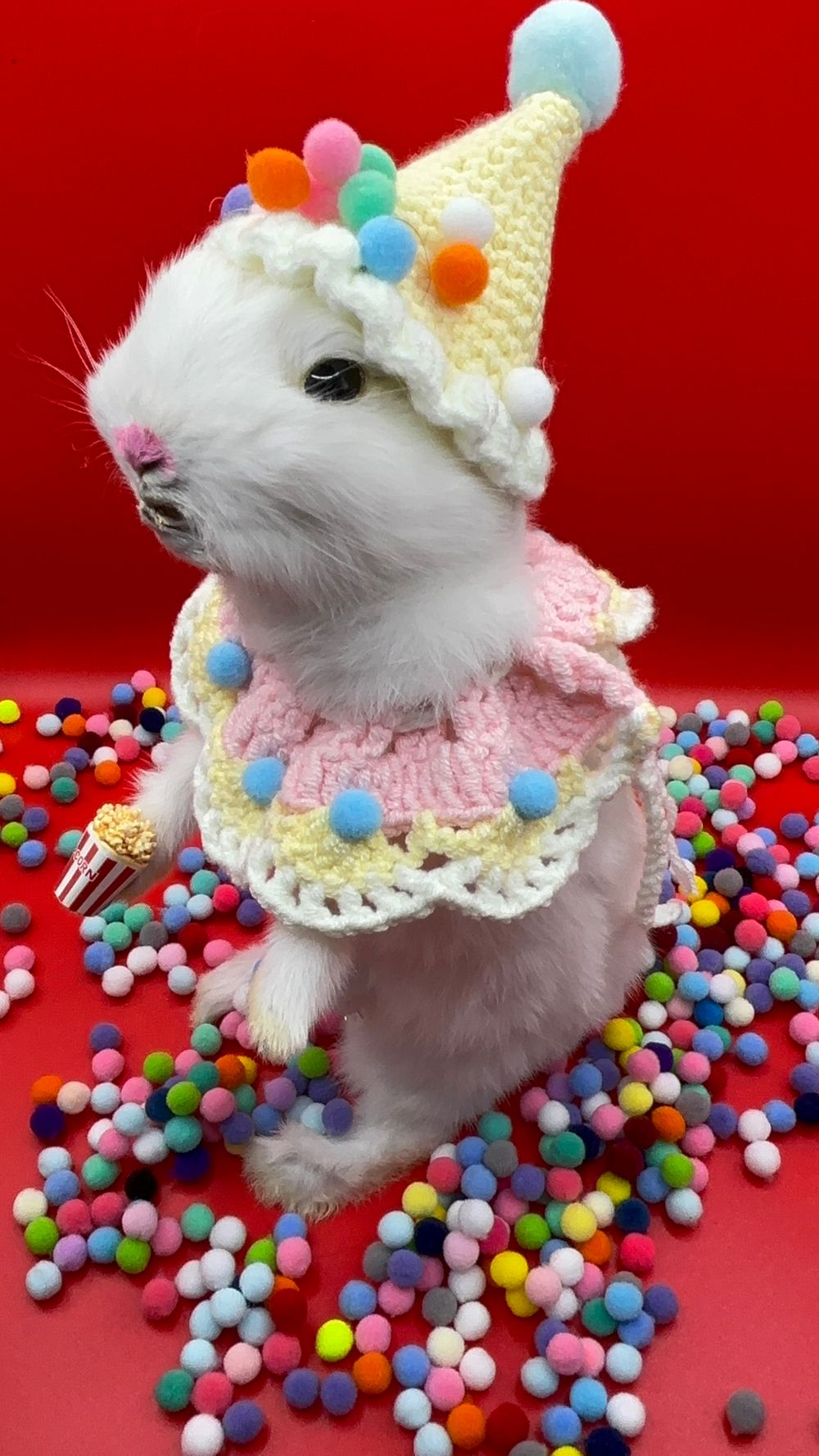 Clowncore Bunny 🐰 